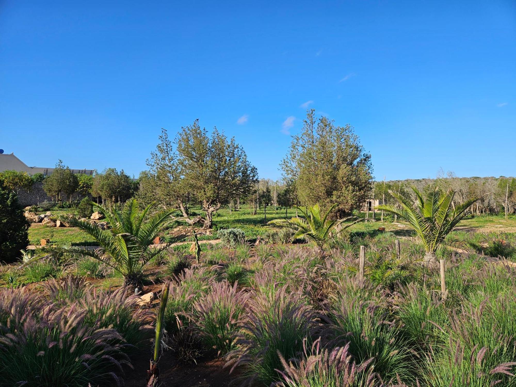 Le Clos De La Roussiere Suvayr Dış mekan fotoğraf