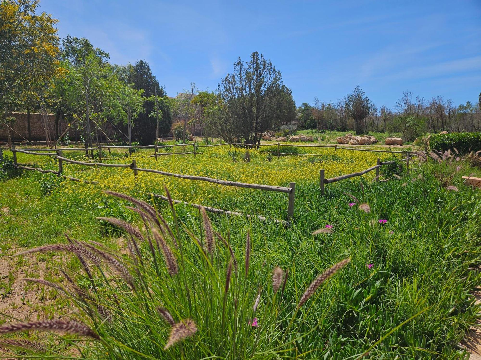Le Clos De La Roussiere Suvayr Dış mekan fotoğraf